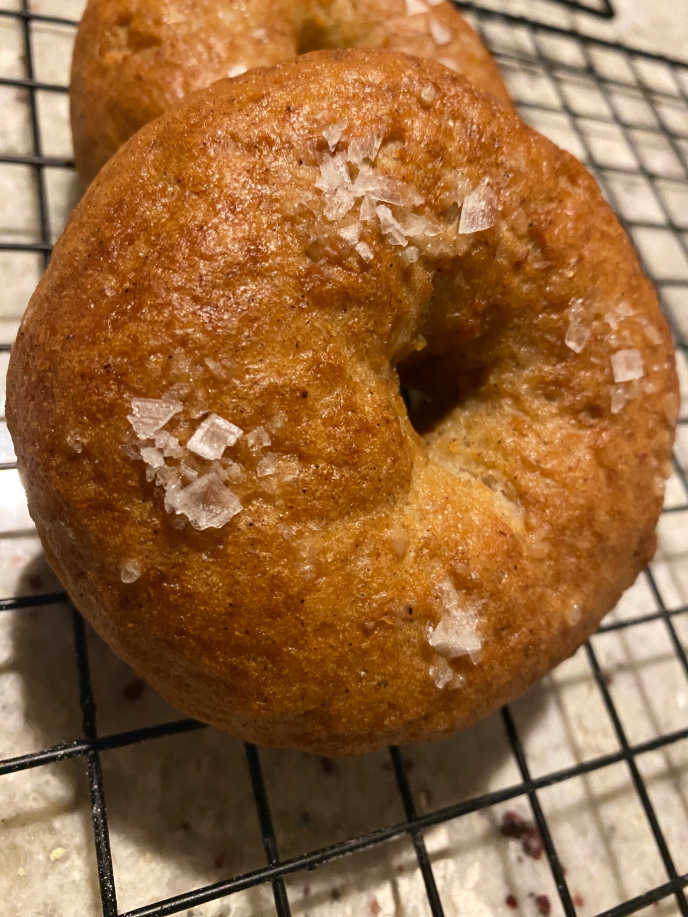 Sourdough Bagels (Flavor Options) (GF,V) 4ct.
